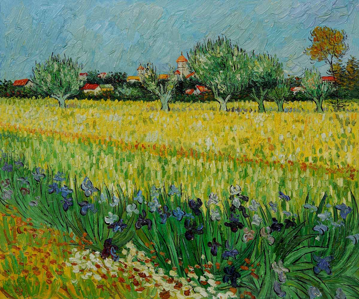 View of Arles with Irises by Vincent Van Gogh